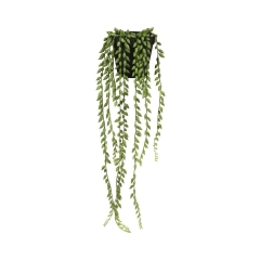 Senecio sztuczne 52cm w doniczce