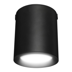 Plafon LED GoodHome Ipsoot 800 lm IP44 2700/4000 K czarny