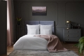 36592
