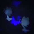 3627839680c46216359a7ebcb7e52ab7