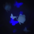 5fd44db68af4d85f8ff758215c84e085