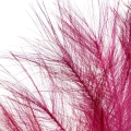 3c70ae7745aa5cac53428ff9f3854ad1