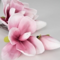 8cfa2a38682777c3796945dbaf18ae52