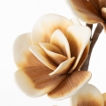 934d979d384861b13ffb71284ad3d775