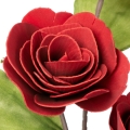 0b02c3f8abdc4036cb2cc28a45ffe606