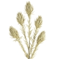 ab69e710f153576b7cd8c45d3bbeea89