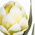 2ddc549a3e9c8ff973c973aa3c4d8489