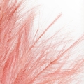 f009b63c5ff1fabea332eda372c922a3