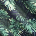 2831d46351c79bfc2e70e851848a841c