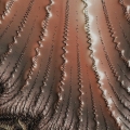 72a907068440c8528e40ecae6133d841