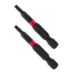 2 szt. Końcówki T10 S2 50mm