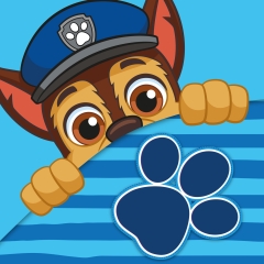 Ręcznik Psi Patrol Paw Ręcznik Magiczny Ręczniczek do rąk 30x30 Bawełna
