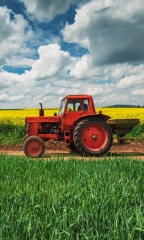 Ręcznik Mały Ręczniczek do rąk 30x50cm TRAKTOR dla Dzieci do Przedszkola