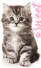 Towel Soft Cotton for bathroom Little Towel for hands 30x50cm Cat Bath