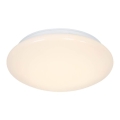 8a882d779ed96ead65dca0be5b6af8cb