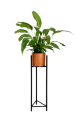 951563-removebg-preview.png