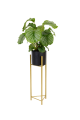 951567-removebg-preview.png