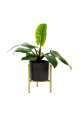 951608-removebg-preview.png