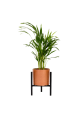 951658-removebg-preview.png