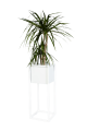 951682-removebg-preview.png