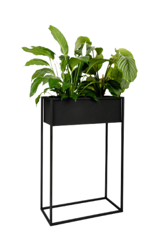 951726-removebg-preview.png