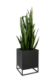 951760-removebg-preview.png