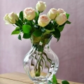 859ed4e1b604f827fb7b54f7dea6c242
