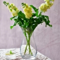 6b5eaf240fb7f5e871c8dcd523c693b2