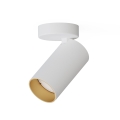a5ba713654dec50197e96f3a6901e2f0