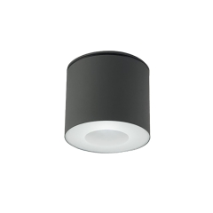 Lampa sufitowa Plafon HEXA 1x35W IP44 GU10 Grafit Nowodvorski