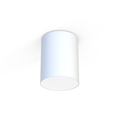 Lampa sufitowa Plafon CAMERON 1x25W LED E27 Biały Nowodvorski
