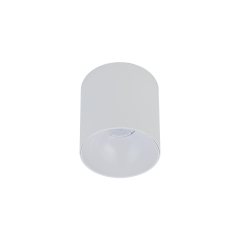 Lampa sufitowa punktowa POINT TONE 10W LED Biały Nowodvorski