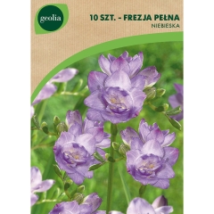 Frezja Double 10szt. cebulki kwiatów Geolia