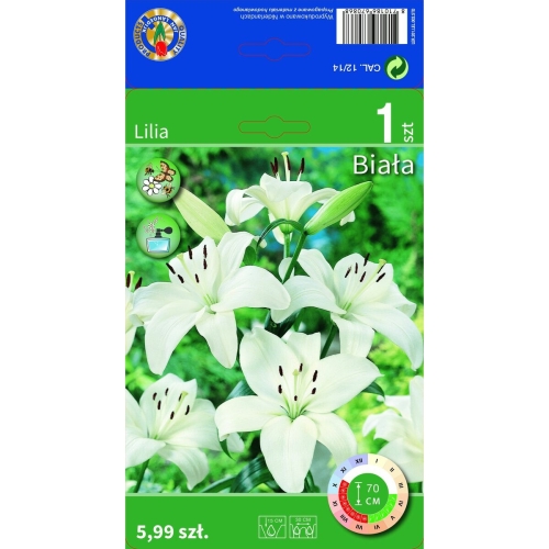 b2ae750de7ea5e09fc87eeaa4e4adaf3
