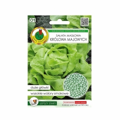 Sałata masłowa głowiasta Królowa Majów nasiona Pnos