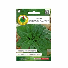 Szpinak Olbrzym zimowy nasiona 10g Pnos