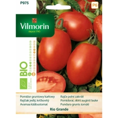 Pomidor gruntowy wysoki Bio Rio Grande nasiona Vilmorin