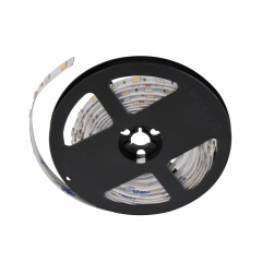 Taśma LED 5 m 1000 lm IP20 RGBW Goldlux