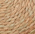 b7ec49e5052f9982cd7a0317e2e58859