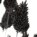 f52d8fed94fc34d43a38da70d24fb4b2