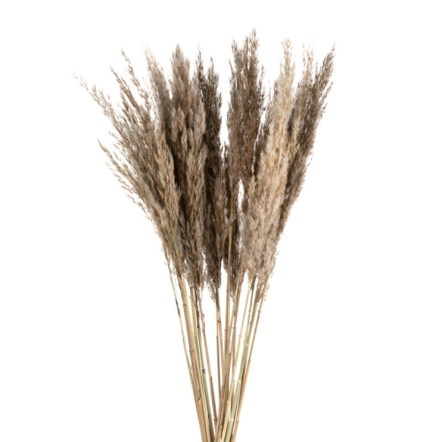 bc2cfd94407cb72da6f2369fd7c73e1f