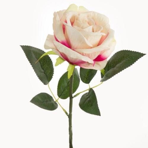 c0b6ea32e9f38ab6bb65cdc31efeeab0