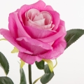 7f73a3d467bc0f65e173c89aa747b037