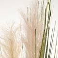 4d540bb0eb7a77d87360018ae547d688