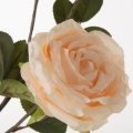 4ddbd469cc41b12ccd70e57e7b3540ad
