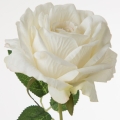 a13075fa71468915ceceec00d80be235