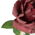 9951b58db25a42bab956eeb5b64399da