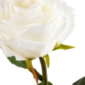 7d81bdeb7afee6cee43c2026b0d77720
