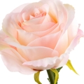 39b7107180bba0d5e94fa8b89046ae26